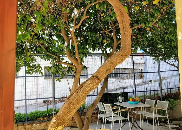 Amazing 100 Meters From The Old Town Rhodes City