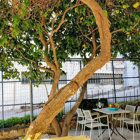 Amazing 100 Meters From The Old Town עיר רודוס