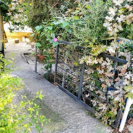 Amazing 100 Meters From The Old Town Apartment *