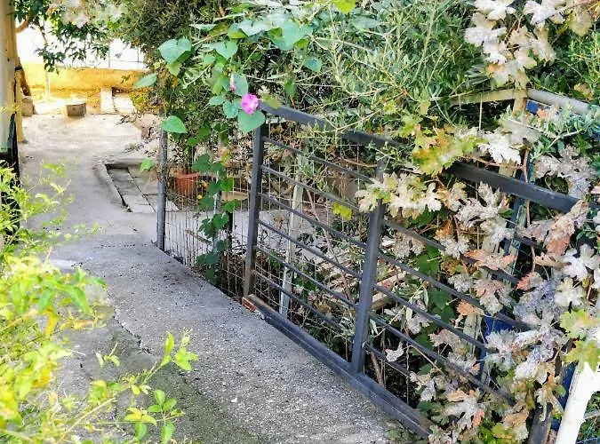 Amazing 100 Meters From The Old Town 아파트 *